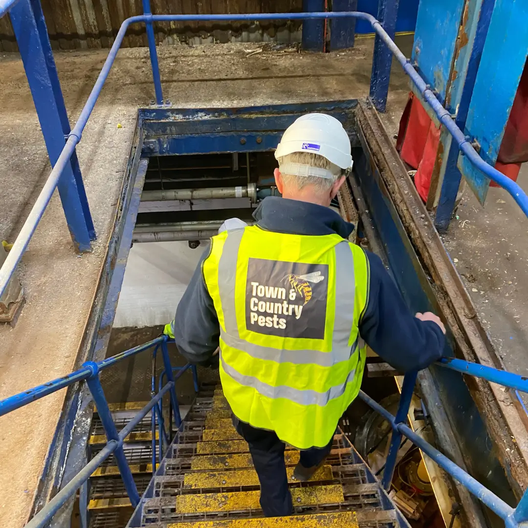 Marine and offshore pest control