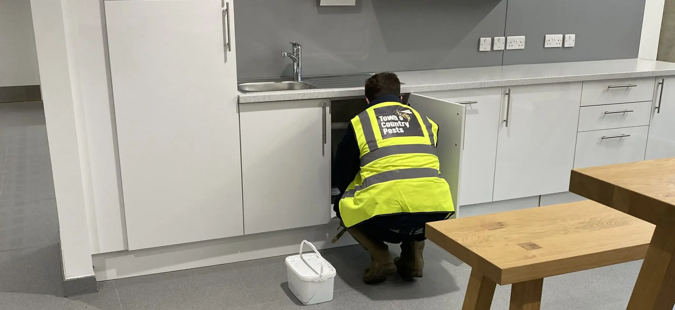 Pest control in kitchen area