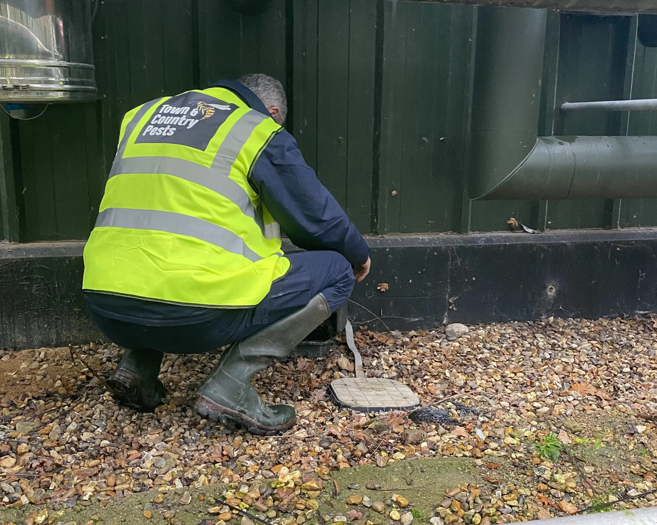 domestic and industrial pest control